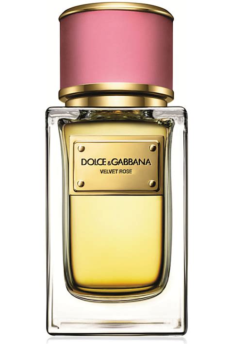 dolce gabbana rose petal|dolce and gabbana velvet rose.